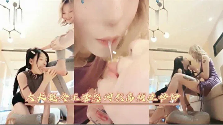 【SM调教】大长腿女王的诱惑调教，高颜值母狗