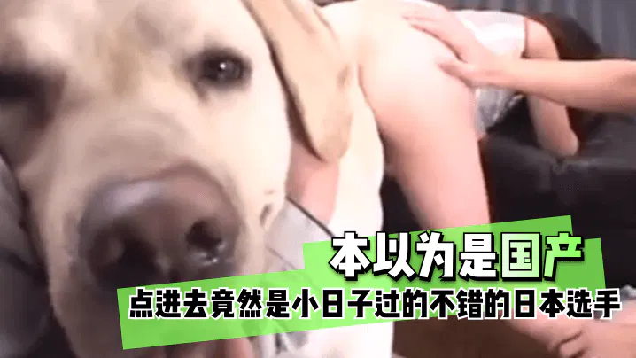 【SM重味】重口味慎入：日本爱宠性伴侣，人狗情未了
